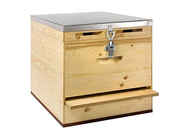 Cedar Hive Box & Super Set