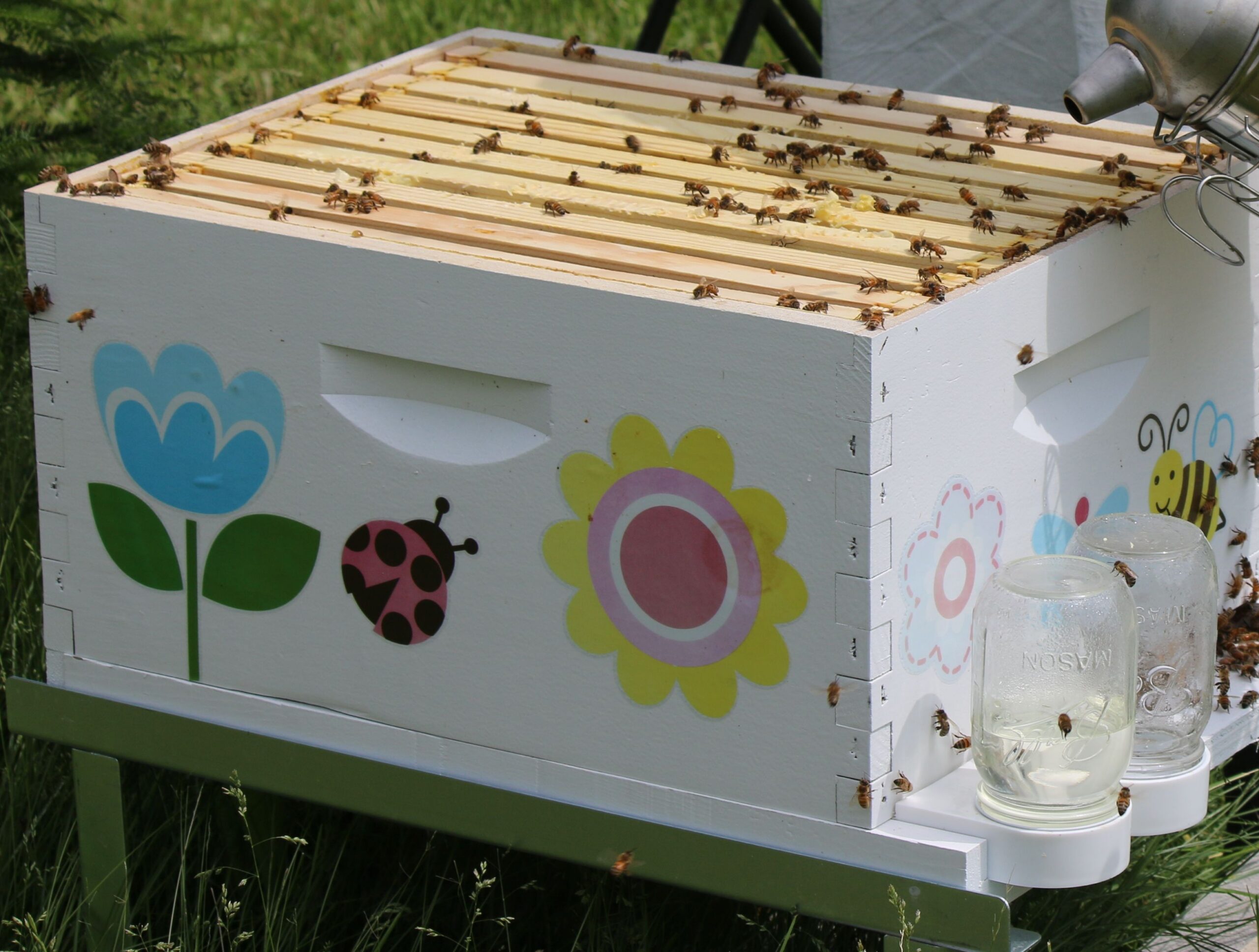 Commercial Bee Smoker & Hive Tool Set